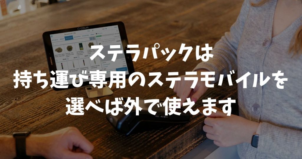 ステラパックは外で使うことが可能？持ち運びの可否と屋外利用の解決策｜stera pack