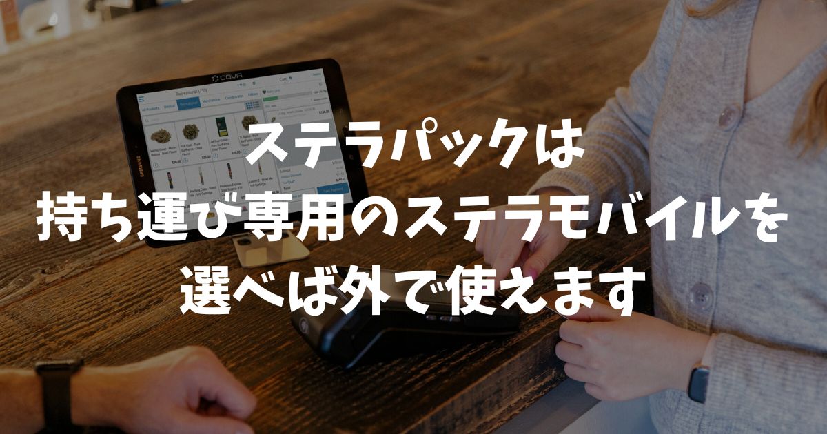 ステラパックは外で使うことが可能？持ち運びの可否と屋外利用の解決策｜stera pack